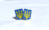 Coat of arms - Ukrainas Riksvapen